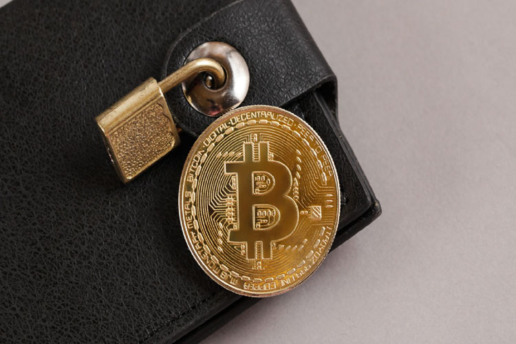 Deep Web Bitcoin Wallet