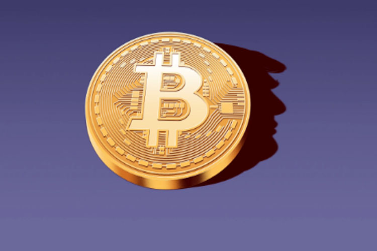 Shadow Bitcoin Wallet